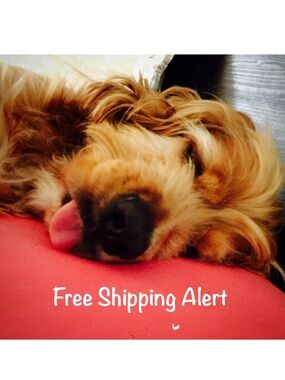 Free Shipping Giveaway